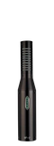 SF-2