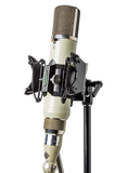 RSM-SS251